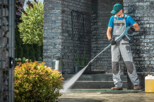 Best Roof Washing  in Dunbar, WV